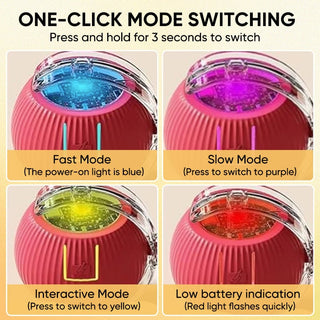 Sakerplus® Smart Automatic Rolling Pet Ball