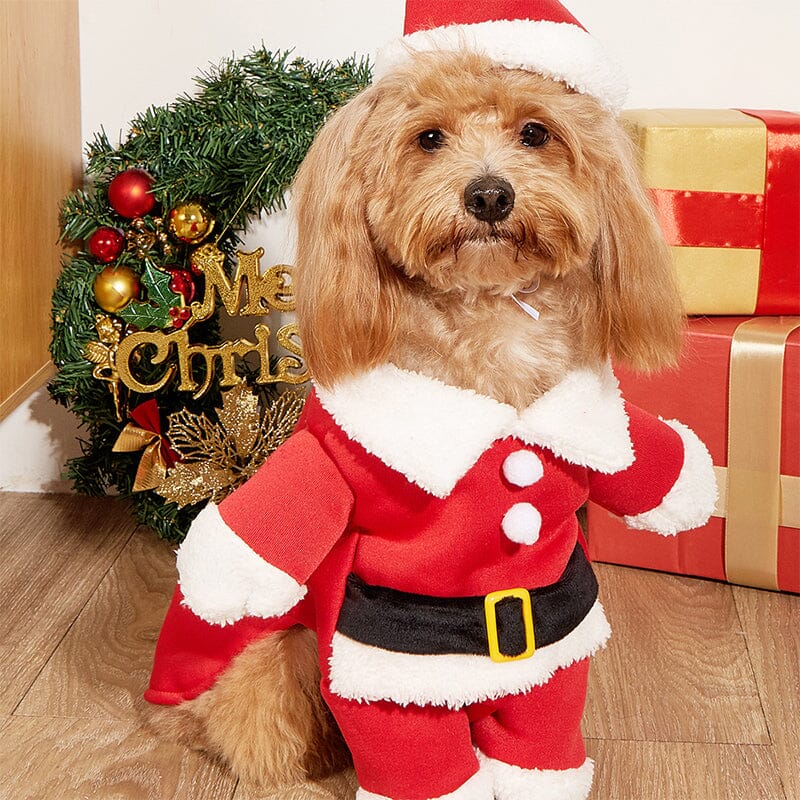 SAKER® Dog Cat Christmas Costume