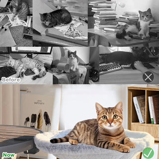 Sakerplus Ergonomic Desk Cat Bed For Office