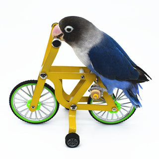 Sakerplus Interactive Parrot Bike Training Toy