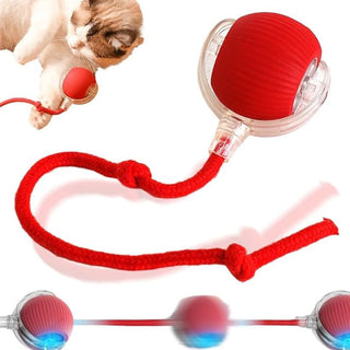 Sakerplus® Smart Automatic Rolling Pet Ball