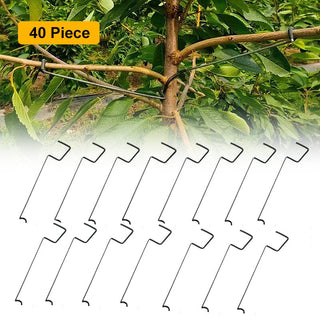 SAKER® 40Pcs Fruit Tree Branch Limb Spreader