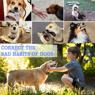 Sakerplus® Waterproof Dog Training Collar with Remote