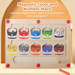 Sank Magnetic Color and Number Maze