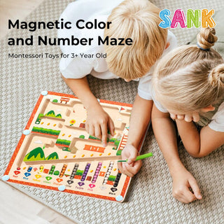 Sank Magnetic Maze