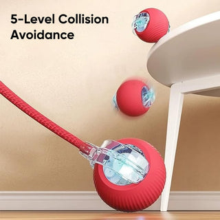 Sakerplus® Smart Automatic Rolling Pet Ball