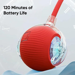 Sakerplus® Smart Automatic Rolling Pet Ball