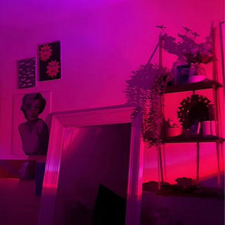 Sakerplus® Sunset Lamp Projector With Rotation