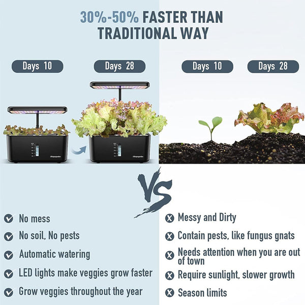 Sakerplus Hydroponics Growing System
