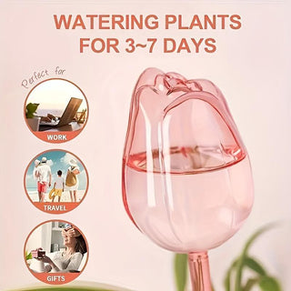Sakerplus® Self Watering Globes For Plants