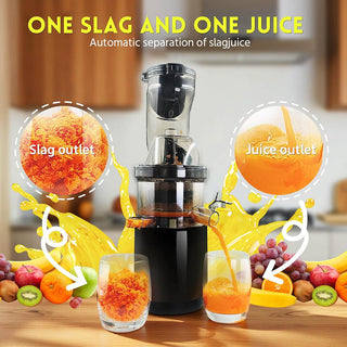 Sakerplus Slow Masticating Cold Press Juicer