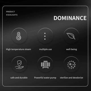 Sakerplus® Steam Disinfection Cleaner