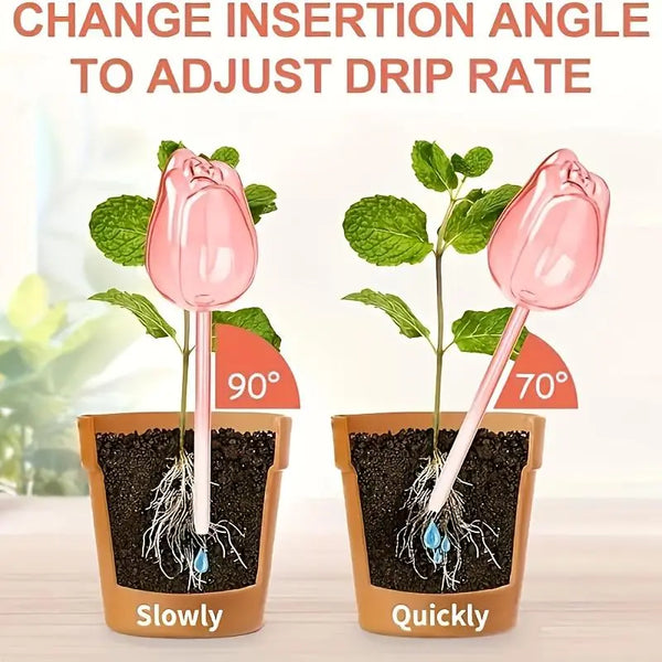 Sakerplus® Self Watering Globes For Plants