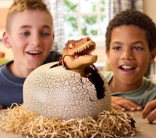 Sakerplus® Interactive Dinosaur Egg Toy