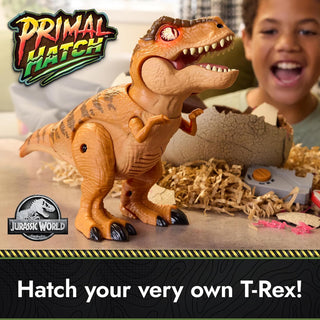 Sakerplus® Interactive Dinosaur Egg Toy