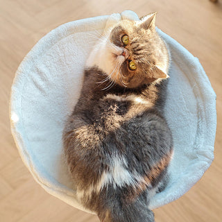 Sakerplus Ergonomic Desk Cat Bed For Office