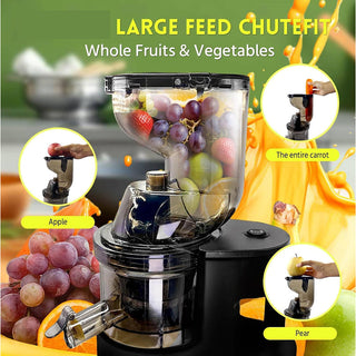 Sakerplus Slow Masticating Cold Press Juicer