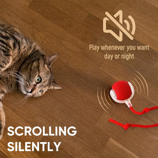 Sakerplus® Smart Automatic Rolling Pet Ball