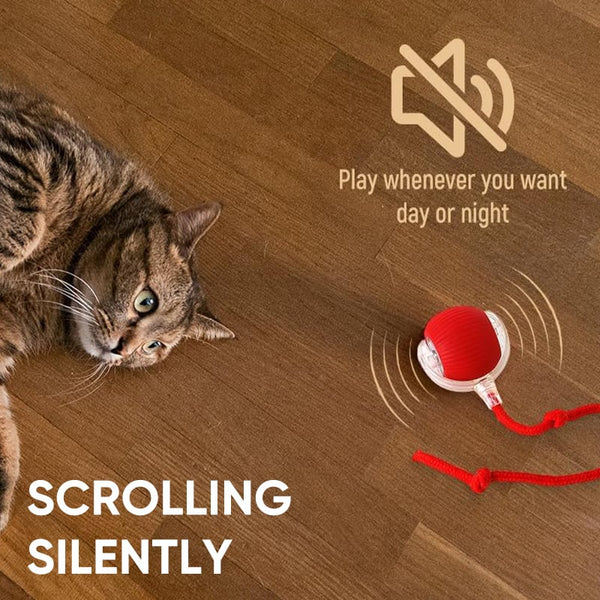 Sakerplus® Smart Automatic Rolling Pet Ball