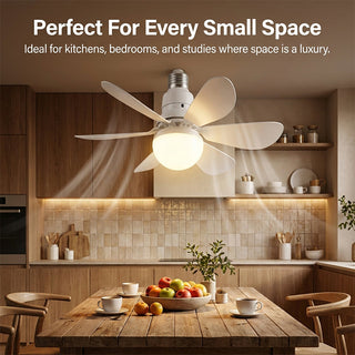 Sakerplus® Modern Low Profile Ceiling Fan Light