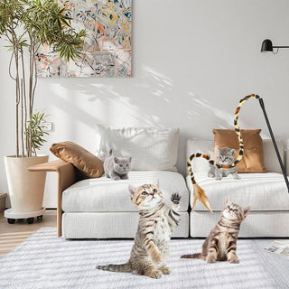 Sakerplus® Cat Toys Interactive Play Set