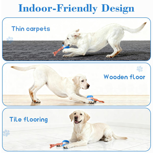 Sakerplus® Interactive Automatic Dog Toy Ball
