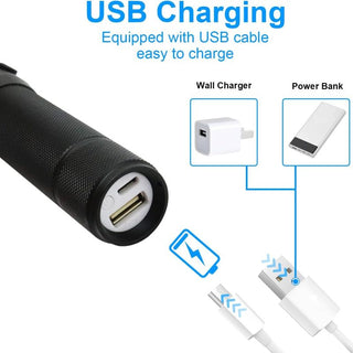 Sakerplus® Fiber Optic Dance Whip Lights