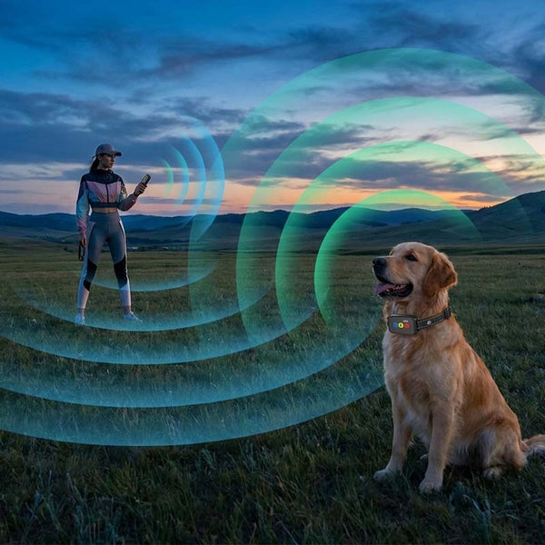 Sakerplus® 800m Remote Dog Training Collar With Display