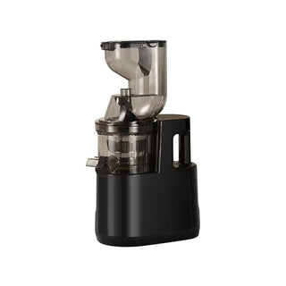 Sakerplus Slow Masticating Cold Press Juicer