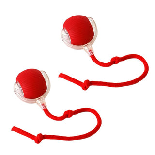 Sakerplus® Smart Automatic Rolling Pet Ball