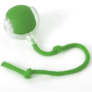 Sakerplus® Smart Automatic Rolling Pet Ball