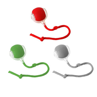 Sakerplus® Smart Automatic Rolling Pet Ball