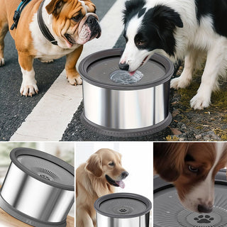 Sakerplus Large Capacity No Spill Dog Bowl