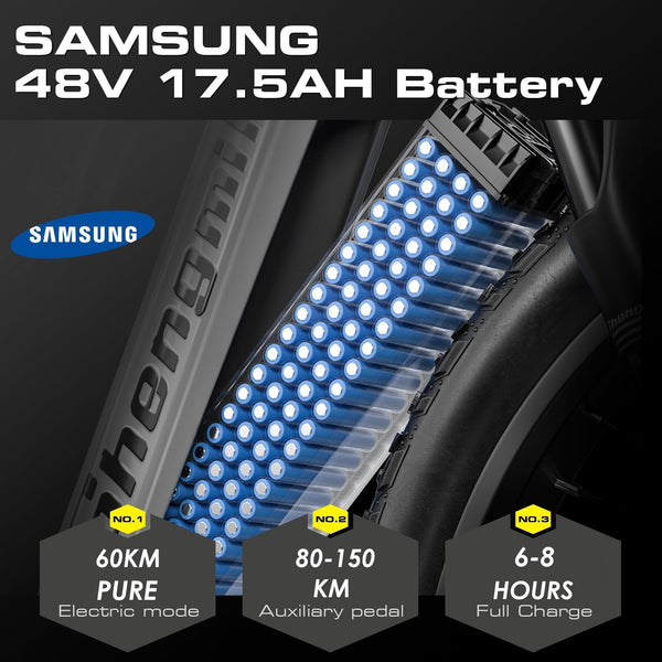 Sakerplus® Dual Motor Electric Bike