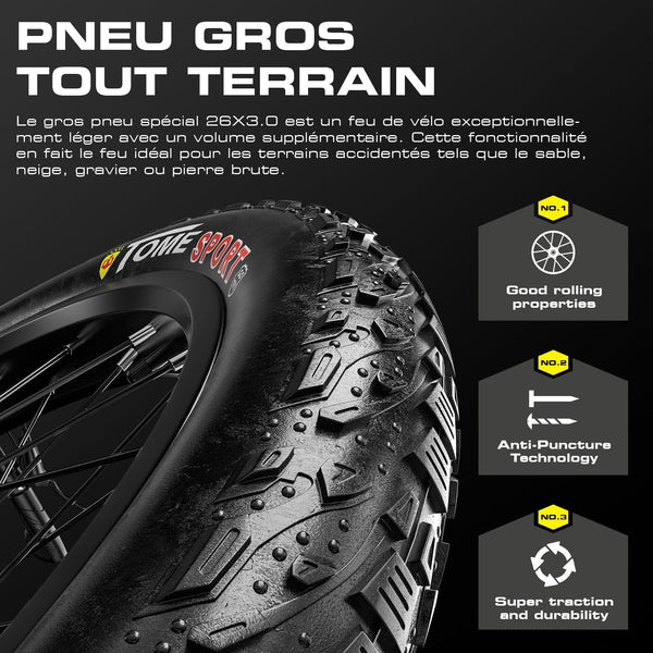 Sakerplus® Dual Motor Electric Bike