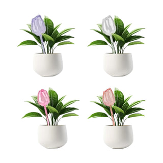 Sakerplus® Self Watering Globes For Plants