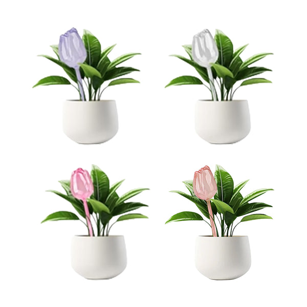 Sakerplus® Self Watering Globes For Plants